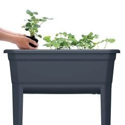 Prosperplast Kweekbak Op Poten 60 X 75 Cm -Tuinonderhouds Winkel image 1156