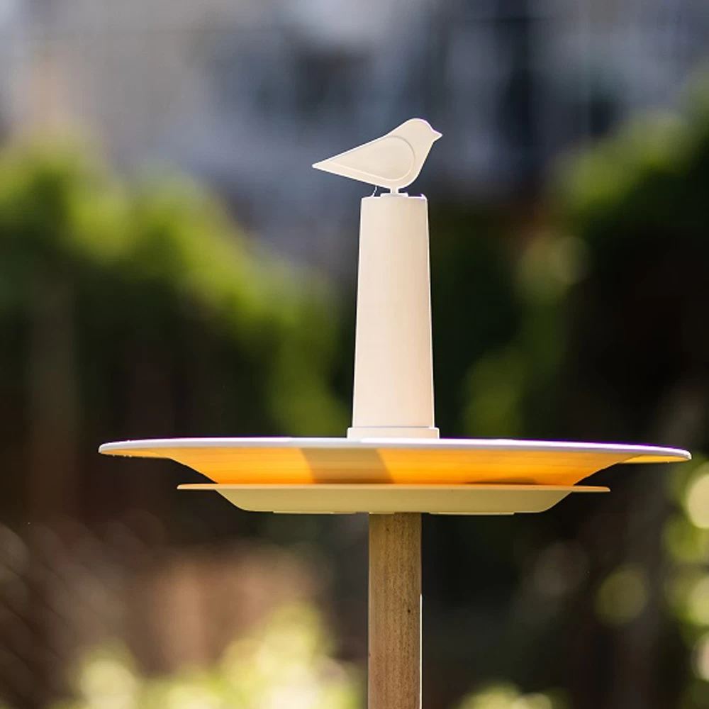 Vogelbad Finch Ivoor 4 Vogelbad Finch Ivoor - Afbeelding 2