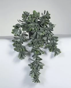 Vp Deco Kunstplant Crassula Hanger 60cm