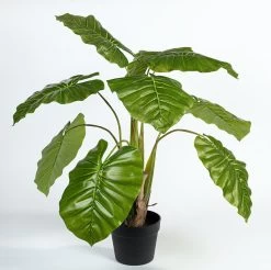 Kunstplant Philodendron Imperial L80cm