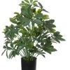 Kunstplant Schefflera H50cm -Tuinonderhouds Winkel image 1579
