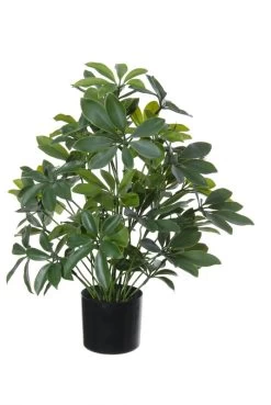 Kunstplant Schefflera H50cm