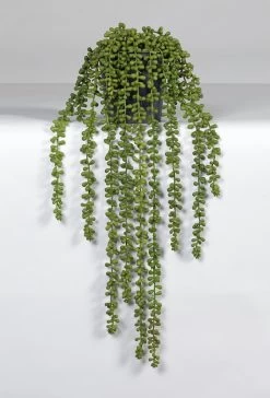 Kunstplant Senecio 70cm