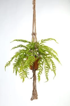 Vp Deco Kunstplant Bosvaren Met Touw 100cm