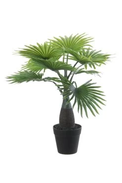 Kunstplant Chamaerops Palm 45cm
