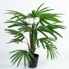 Kunstplant Rhapis Palm L70cm -Tuinonderhouds Winkel image 1602
