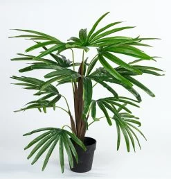 Kunstplant Rhapis Palm L70cm