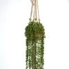 Kunstplant Senecio Met Touw 105cm 1 Kunstplant Senecio Met Touw 105cm -Tuinonderhouds Winkel image 1613