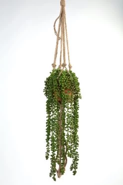 Kunstplant Senecio Met Touw 105cm