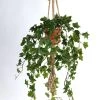 Vp Deco Kunstplant Hedra +Touw Met Pot H120cm -Tuinonderhouds Winkel image 1615