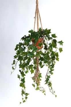 Vp Deco Kunstplant Hedra +Touw Met Pot H120cm