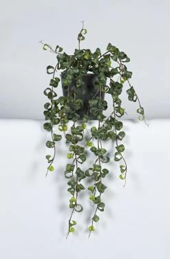 Vp Deco Kunstplant Hoya Curl Hangend 85cm