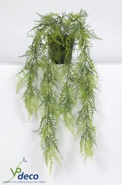 Vp Deco Kunstplant Asparagus Hangplant