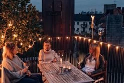 Hofäts Spin 90 Fakkel -Tuinonderhouds Winkel image 1651