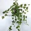 Vp Deco Kunstplant Hedera 80cm -Tuinonderhouds Winkel image 1798