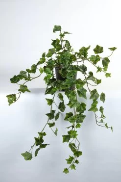 Vp Deco Kunstplant Hedera 80cm