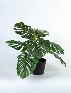 Kunstplant Monstera L60cm