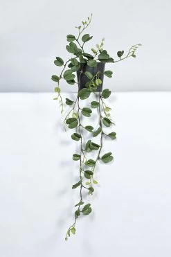 Vp Deco Kunstplant Hoya Kerii Hanger 85cm