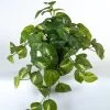 Vp Deco Kunstplant Pothos 47cm -Tuinonderhouds Winkel image 1803