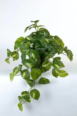 Vp Deco Kunstplant Pothos 47cm