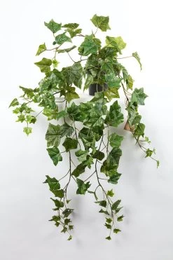 Vp Deco Kunstplant Hedera 100cm