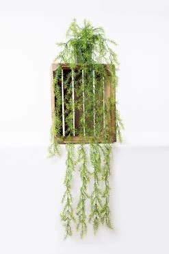 Vp Deco Kunstplant Asparagus Sprengeri Xl L145cm