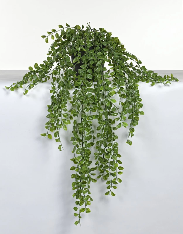 Vp Deco Kunstplant Ficus Hangplant 4 Vp Deco Kunstplant Ficus Hangplant - Afbeelding 2