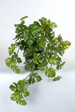 Vp Deco Kunstplant Monstera 55cm