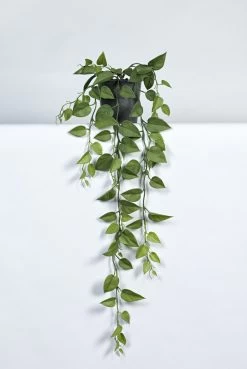 Vp Deco Kunstplant Philodendron Hanger 85cm