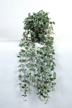 Vp Deco Kunstplant Saxifraga 80cm Grijs