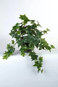 Vp Deco Kunstplant Hedera 47cm