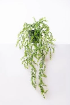 Vp Deco Kunstplant Asparagus 95cm