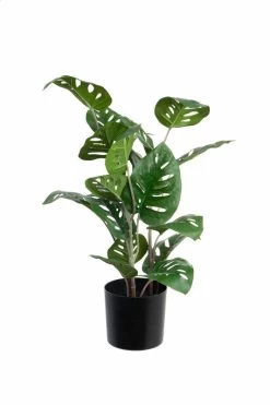 Vp Deco Kunstplant Split Philo H50cm