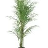 Kunstplant Areca Palm H90cm -Tuinonderhouds Winkel image 1830