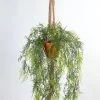 Vp Deco Kunstplant Asparagus Met Touw Met Pot H110cm -Tuinonderhouds Winkel image 1831