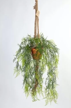 Vp Deco Kunstplant Asparagus Met Touw Met Pot H110cm