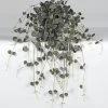 Vp Deco Kunstplant Ceropegia Hanger -Tuinonderhouds Winkel image 1833