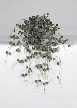 Vp Deco Kunstplant Ceropegia Hanger