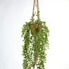 Vp Deco Kunstplant Ficus Hanger Met Touw 105cm -Tuinonderhouds Winkel image 1837