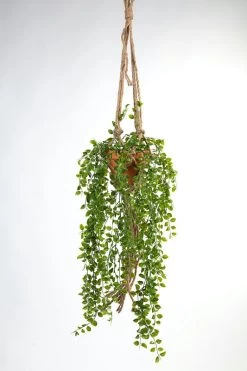 Vp Deco Kunstplant Ficus Hanger Met Touw 105cm