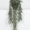 Vp Deco Kunstplant Eucalypthus -Tuinonderhouds Winkel image 1838
