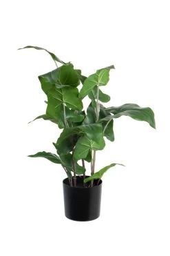 Vp Deco Kunstplant Philodendron H50cm