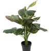 Vp Deco Kunstplant Calathea H80cm -Tuinonderhouds Winkel image 1841