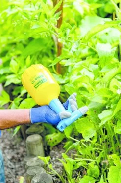 Gloria Fijnsproeier Hobby Flex 10 1 Liter 10 Gloria Fijnsproeier Hobby Flex 10 1 Liter -Tuinonderhouds Winkel image 211