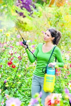 Gloria Drukspuit Prima 3 Liter -Tuinonderhouds Winkel image 238