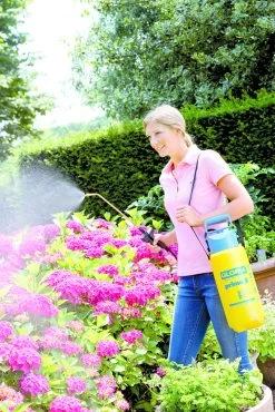 Gloria Drukspuit Prima 5 Liter -Tuinonderhouds Winkel image 255