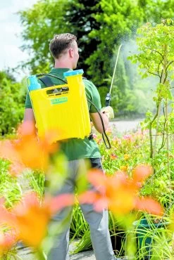 Gloria Rugspuit Hobby 12 Liter -Tuinonderhouds Winkel image 324