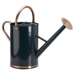 Gieter 9 Liter Verzinkt -Tuinonderhouds Winkel image 340