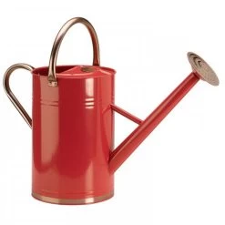 Gieter 9 Liter Verzinkt -Tuinonderhouds Winkel image 341