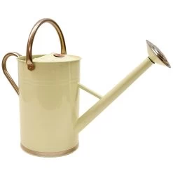 Gieter 9 Liter Verzinkt -Tuinonderhouds Winkel image 342